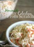 Coleslaw Dressing Recipe