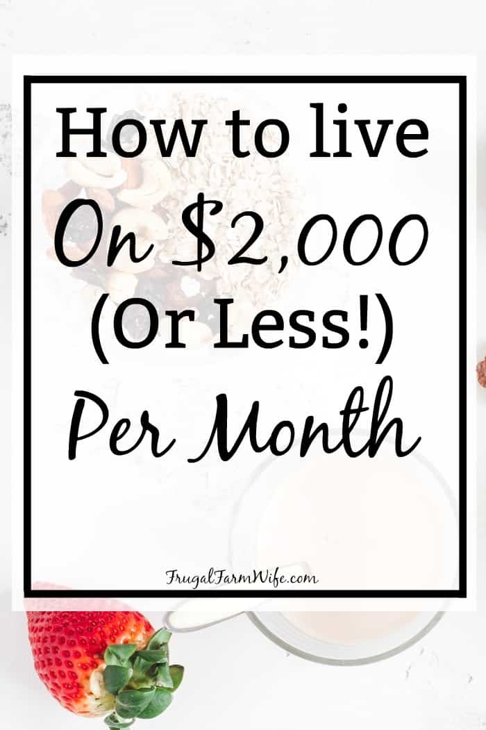 Image shows a coffee cup on a counter with a large text box over it that reads "How to live on $2,000 or less per month"