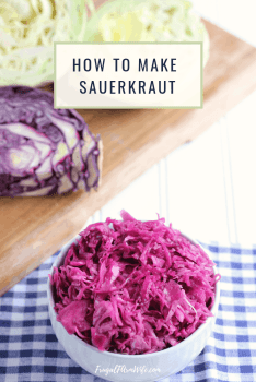 Image shows a bowl of homemade sauerkraut in a white bowl on a blue and white checkered napkin. A cutting board with sliced cabbage sits nearby. Text box reading "How to Make Sauerkraut" sits above.