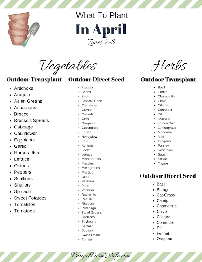 What to Plant in April | Frugal Farm Wife