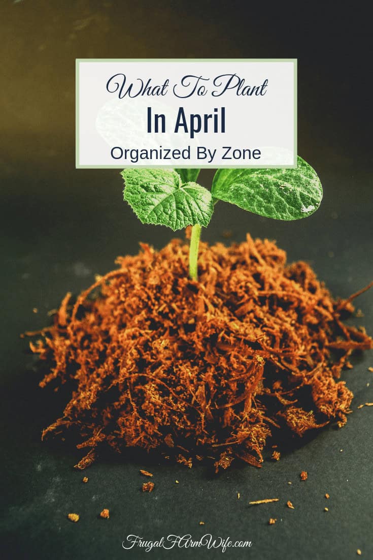 What to Plant in April | Frugal Farm Wife