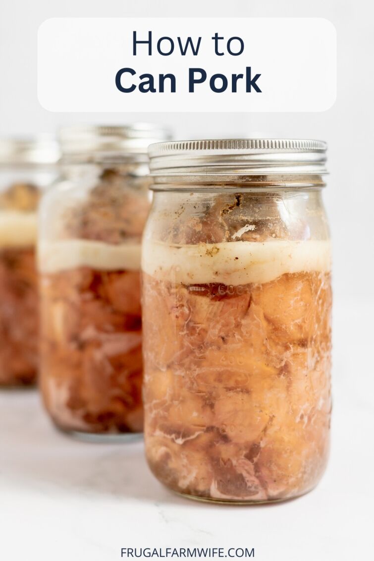 Image shows several jars of canned pork, lined up on a counter. Text above reads "How to Can Pork."