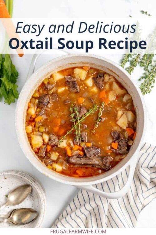 recipe for making delicious oxtail soup