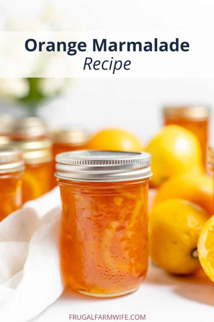 orange marmalade dressing recipe Orange Marmalade Salad Dressing (My Everyday Lunch Dressing) Kath Eats